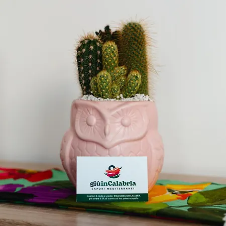 Giù In Calabria - Terrazze Italiane Lido Catanzaro